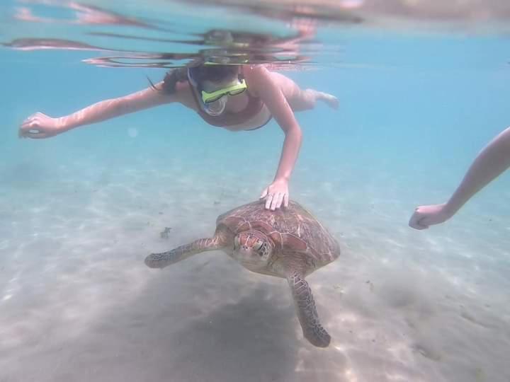 Hiriketiya Mahi Surf Διαμέρισμα Dikwella Εξωτερικό φωτογραφία